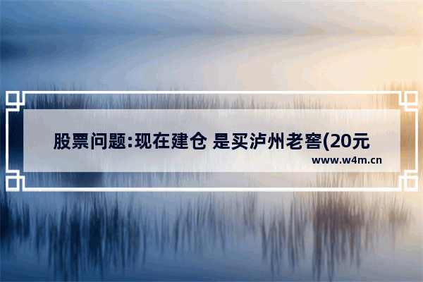 股票问题:现在建仓 是买泸州老窖(20元左右)还是买五粮液(15元左右) 五粮液股票多少可以入手