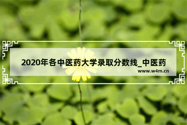 2020年各中医药大学录取分数线_中医药大学20年录取分数线