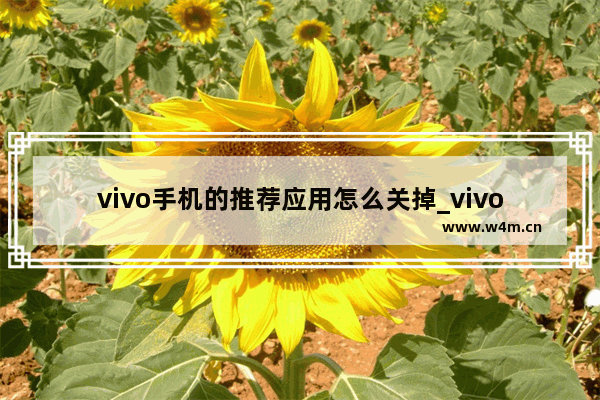 vivo手机的推荐应用怎么关掉_vivo手机突然出现应用推荐怎么取消