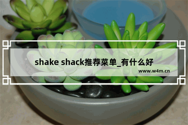 shake shack推荐菜单_有什么好吃的流食