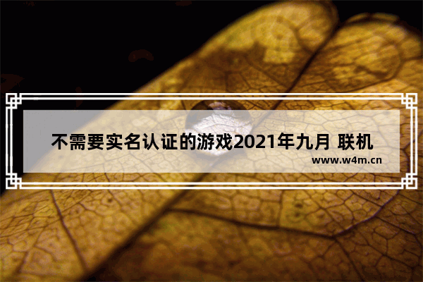 不需要实名认证的游戏2021年九月 联机游戏推荐女生不需要实名