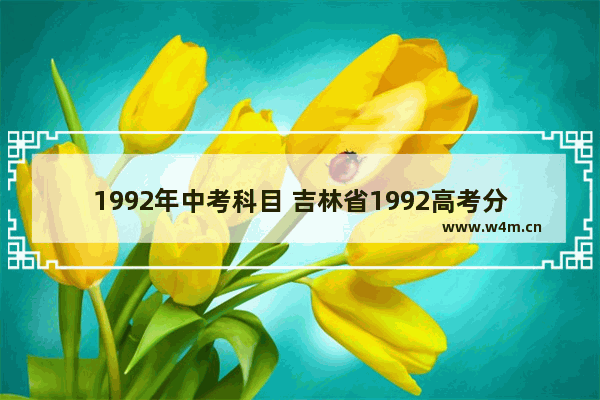 1992年中考科目 吉林省1992高考分数线