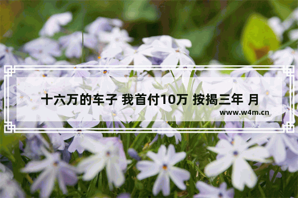 十六万的车子 我首付10万 按揭三年 月供多少 十六万新车推荐哪款车型