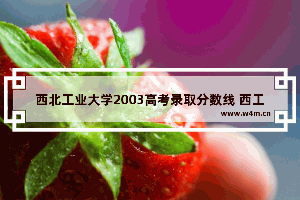 西北工业大学2003高考录取分数线 西工大高考分数线2003