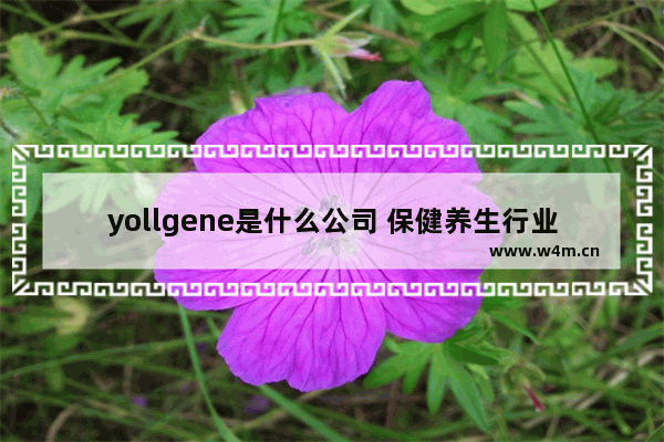 yollgene是什么公司 保健养生行业领先