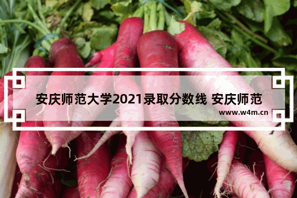 安庆师范大学2021录取分数线 安庆师范++++分数线