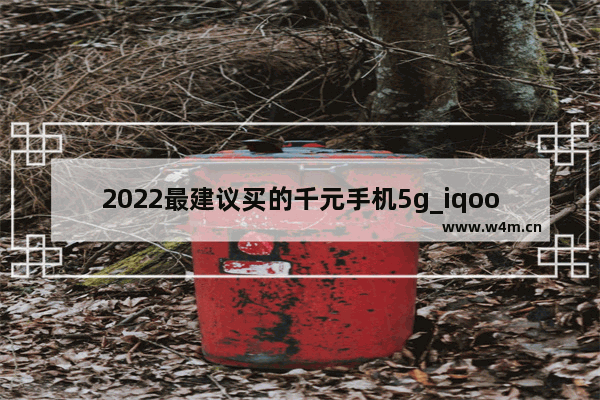 2022最建议买的千元手机5g_iqoo定位什么档次