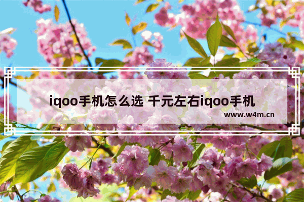 iqoo手机怎么选 千元左右iqoo手机推荐