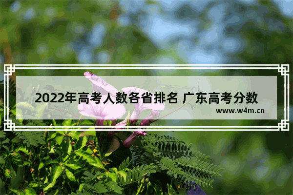 2022年高考人数各省排名 广东高考分数线和山东对比