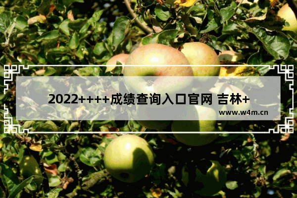 2022++++成绩查询入口官网 吉林++++分数线查询