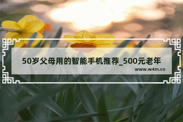 50岁父母用的智能手机推荐_500元老年人智能机推荐