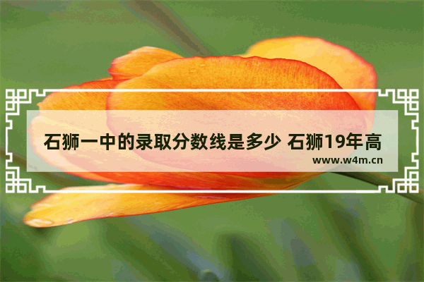 石狮一中的录取分数线是多少 石狮19年高考分数线