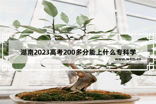 湖南2023高考200多分能上什么专科学校 湖南省高考分数线大专