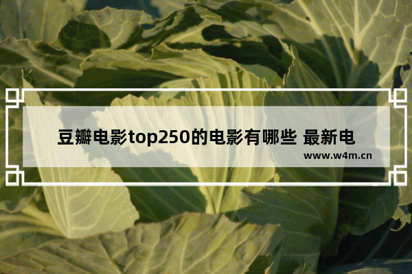 豆瓣电影top250的电影有哪些 最新电影豆瓣排行榜前十排名表