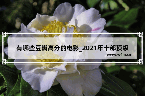 有哪些豆瓣高分的电影_2021年十部顶级震撼的电影