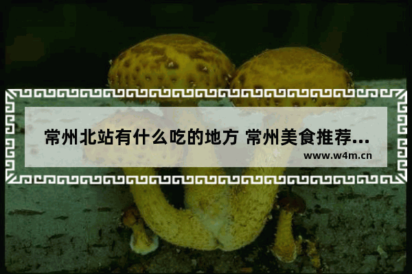 常州北站有什么吃的地方 常州美食推荐环球港