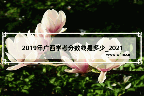 2019年广西学考分数线是多少_2021年广西高考分数线划分