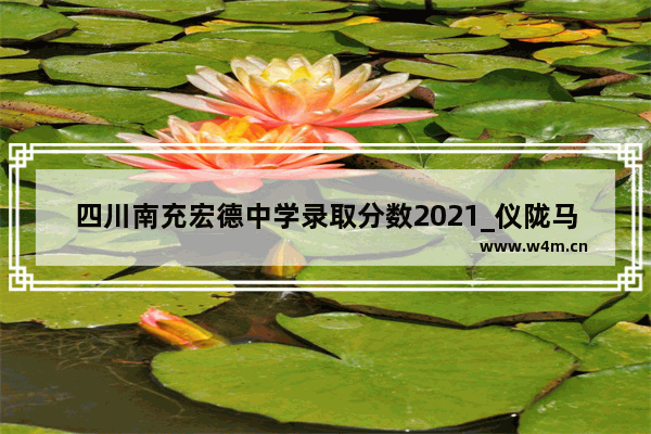 四川南充宏德中学录取分数2021_仪陇马鞍中学好不好