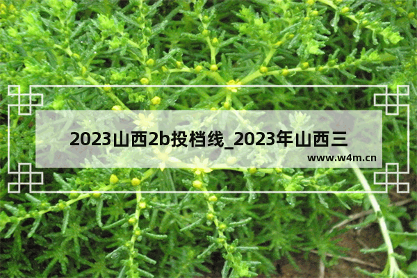 2023山西2b投档线_2023年山西三本c类最低分