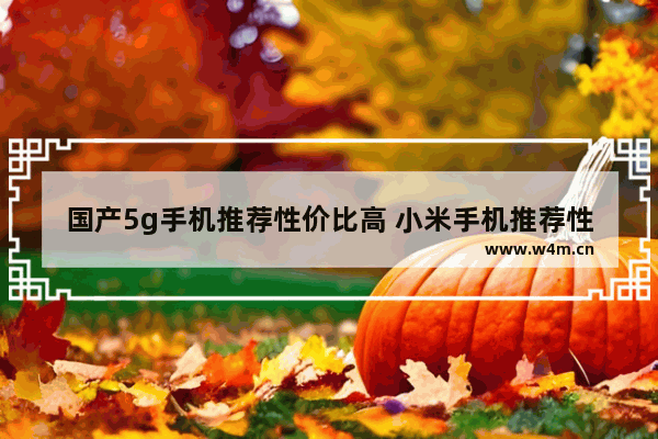 国产5g手机推荐性价比高 小米手机推荐性价比高 5g手机