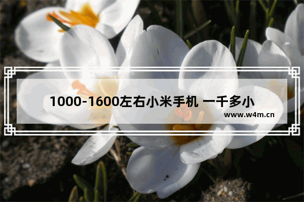 1000-1600左右小米手机 一千多小米手机推荐全新款有哪些