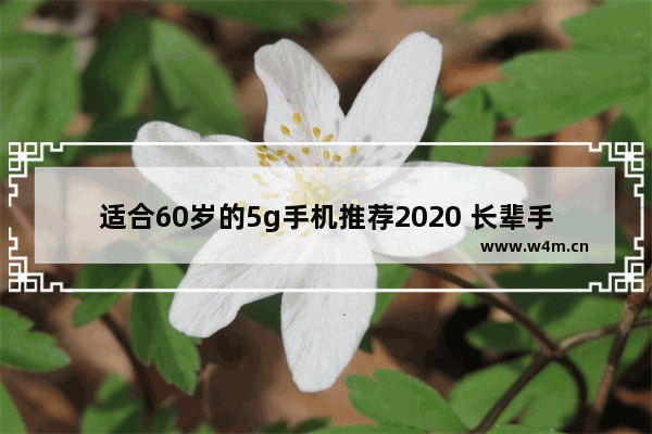 适合60岁的5g手机推荐2020 长辈手机推荐