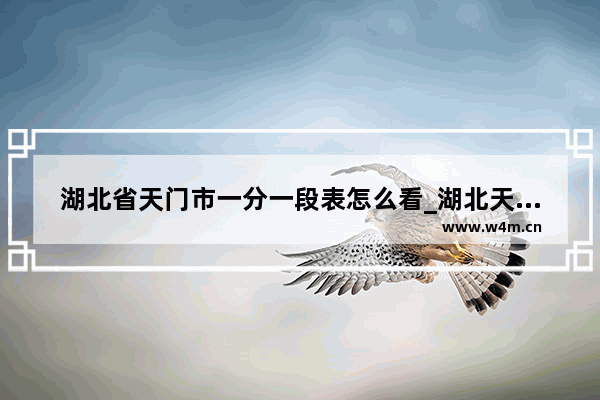 湖北省天门市一分一段表怎么看_湖北天门私立学校排名