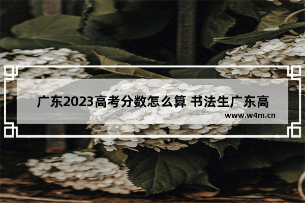 广东2023高考分数怎么算 书法生广东高考分数线公式