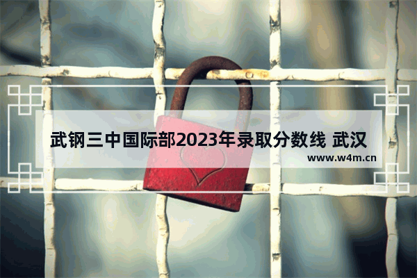 武钢三中国际部2023年录取分数线 武汉外语学校高考分数线