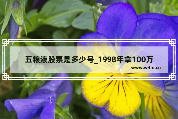 五粮液股票是多少号_1998年拿100万买五粮液现在值多少钱