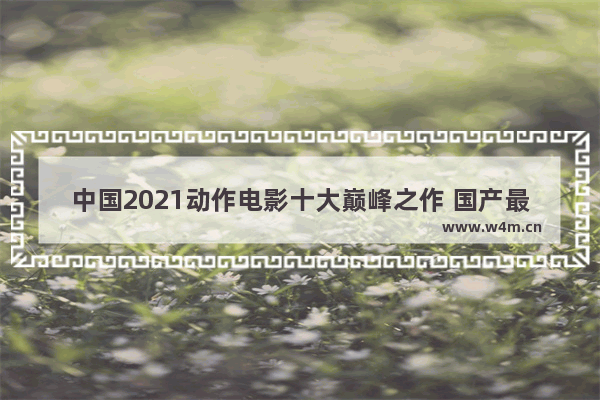 中国2021动作电影十大巅峰之作 国产最新电影推荐榜首有哪些名字呢