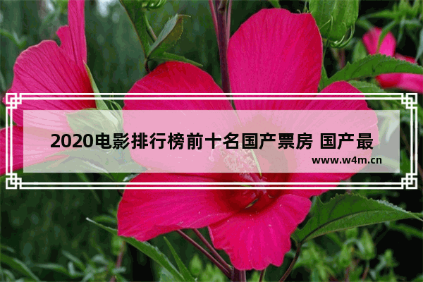 2020电影排行榜前十名国产票房 国产最新电影排名榜前十名有哪些