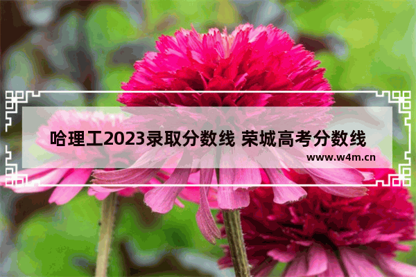 哈理工2023录取分数线 荣城高考分数线查询表最新