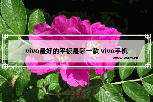 vivo最好的平板是哪一款 vivo手机推荐一千左右爸妈用什么平板好