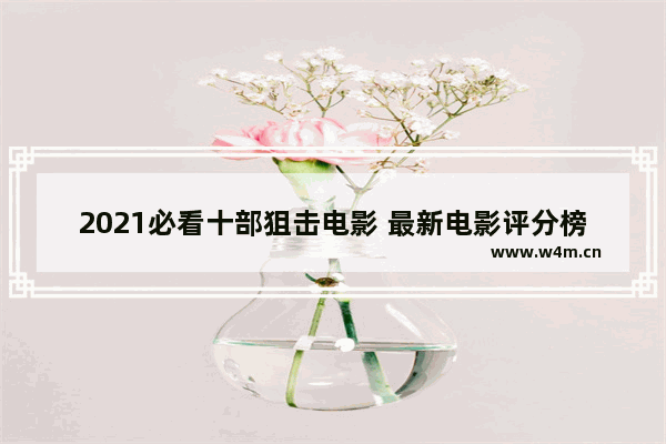 2021必看十部狙击电影 最新电影评分榜排名前十