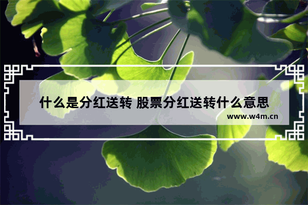 什么是分红送转 股票分红送转什么意思