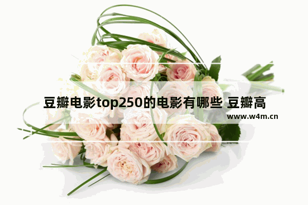 豆瓣电影top250的电影有哪些 豆瓣高分最新电影排名榜前十名有哪些