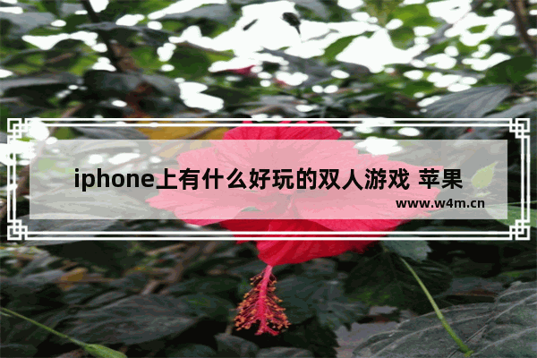 iphone上有什么好玩的双人游戏 苹果好玩的小游戏推荐