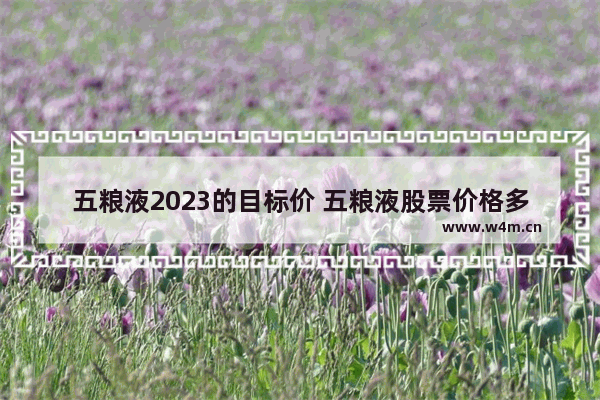 五粮液2023的目标价 五粮液股票价格多少