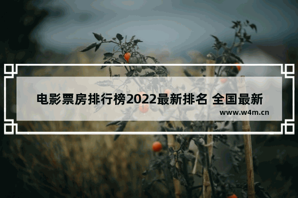 电影票房排行榜2022最新排名 全国最新电影票房榜