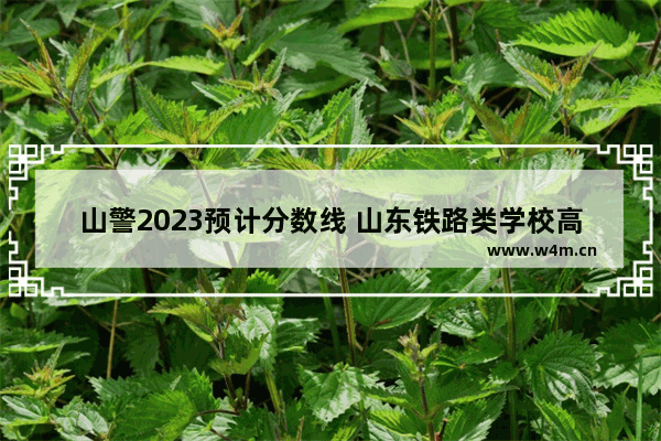 山警2023预计分数线 山东铁路类学校高考分数线