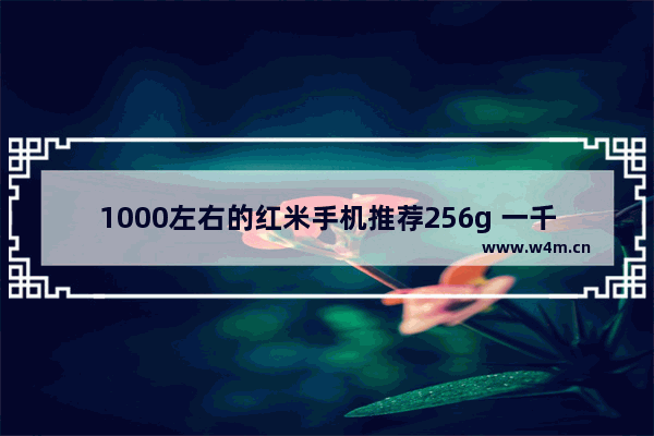 1000左右的红米手机推荐256g 一千元左右红米手机推荐哪款好点