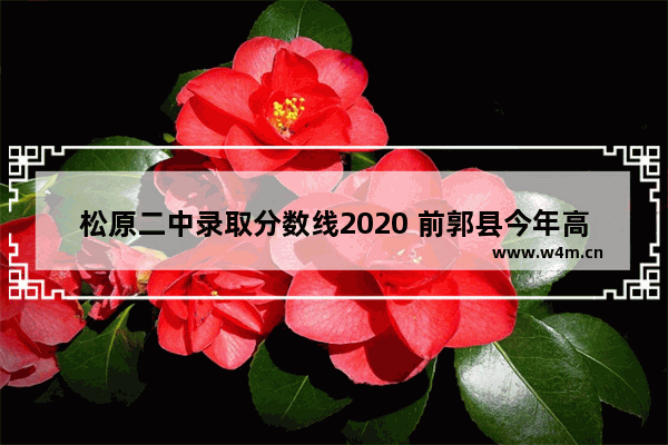 松原二中录取分数线2020 前郭县今年高考分数线