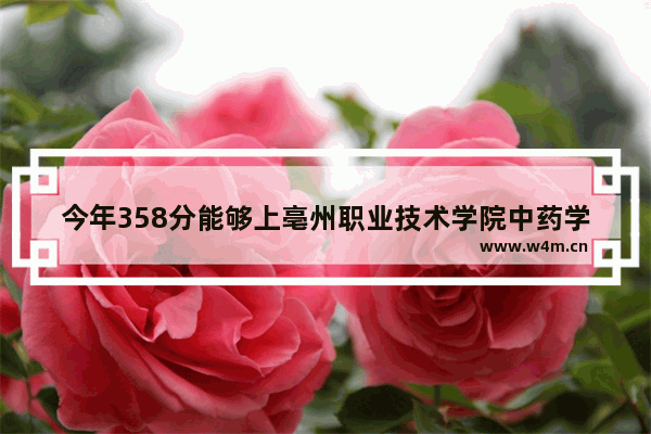 今年358分能够上亳州职业技术学院中药学妈 亳州职业学院高考分数线