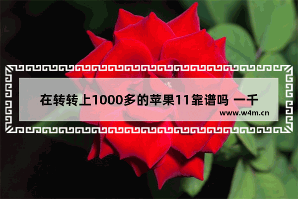 在转转上1000多的苹果11靠谱吗 一千元iphone手机推荐