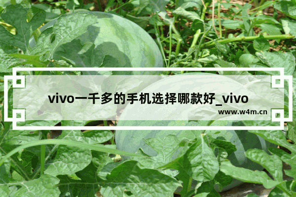 vivo一千多的手机选择哪款好_vivo一千元左右的手机哪个好用