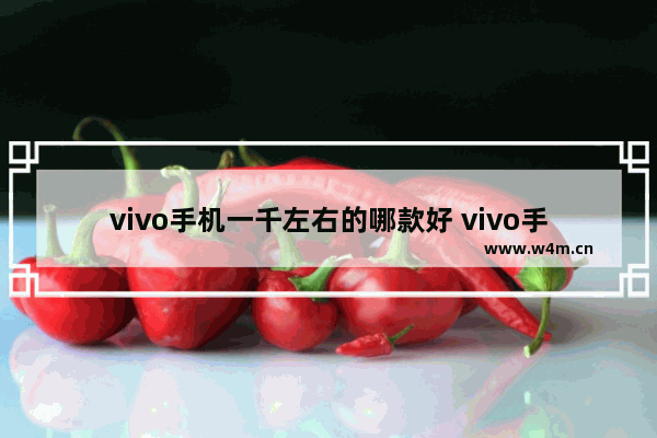 vivo手机一千左右的哪款好 vivo手机推荐一千元以下哪款好