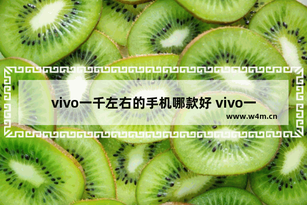 vivo一千左右的手机哪款好 vivo一千元左右手机推荐哪款好一点