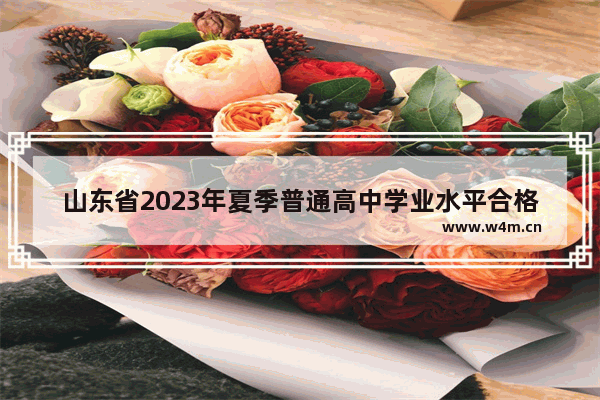 山东省2023年夏季普通高中学业水平合格考分数线 山东23年高考分数线