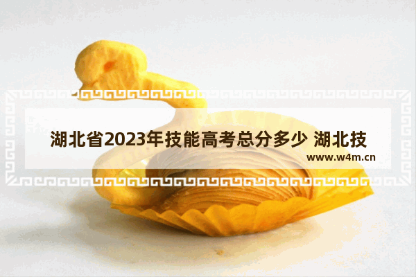 湖北省2023年技能高考总分多少 湖北技能高考分数线2023农学